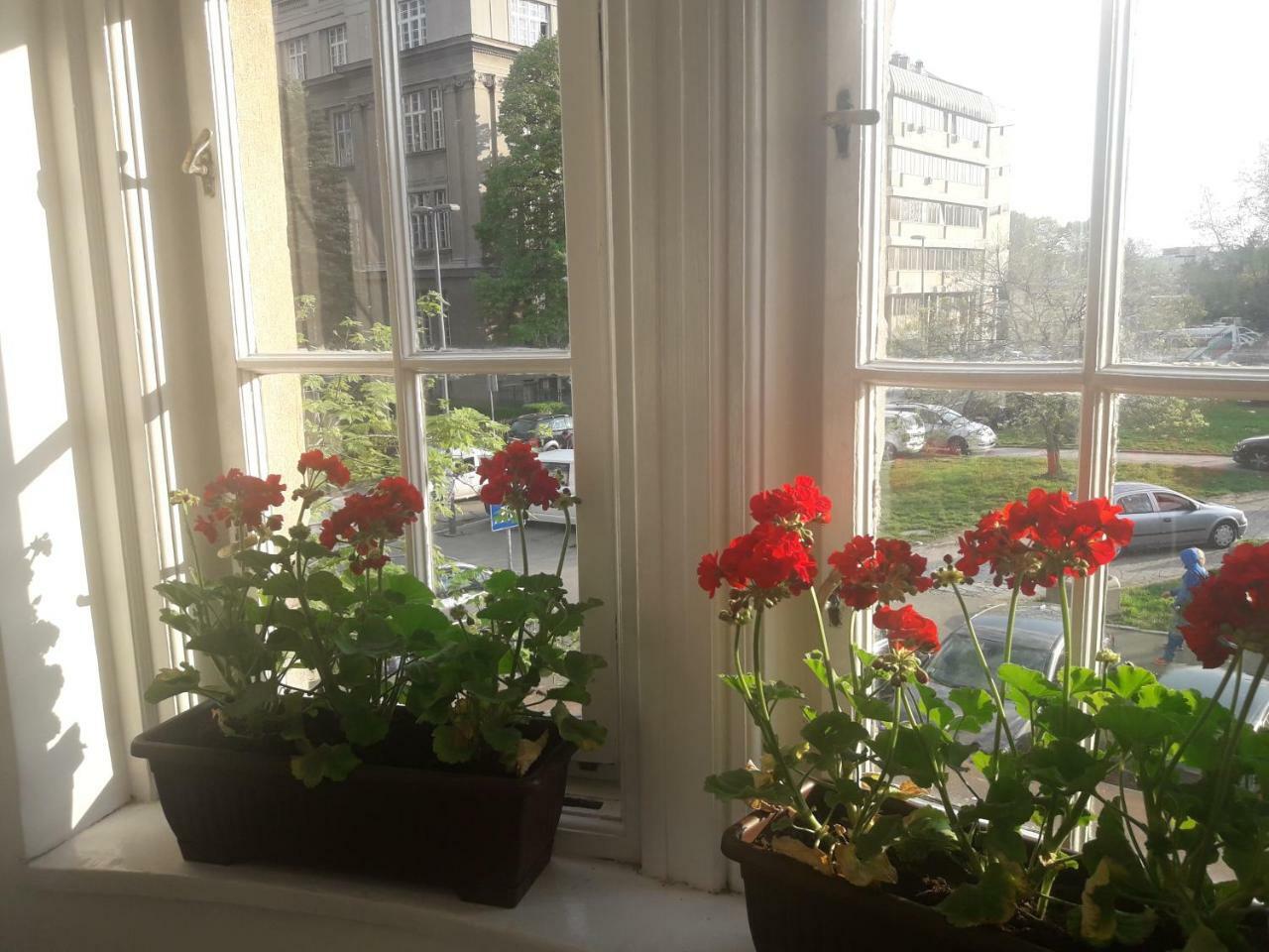 Apartment Lea Lux Beograd Ngoại thất bức ảnh